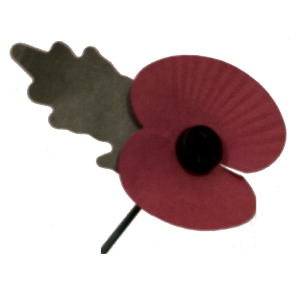 Poppy Appeal 2013 logo