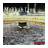 Makkah Live mobile app icon