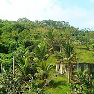 牛山呼庭