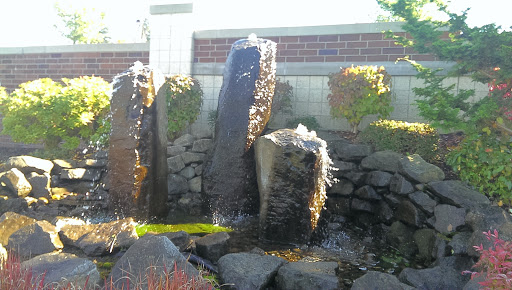 Vancouver Clinic Water Feature