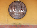 Reserva De Vino La Celia