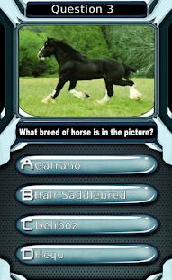 My Horse & Pony Breeds Quiz HD Screenshots 6