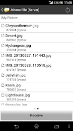 Athena File poster 2