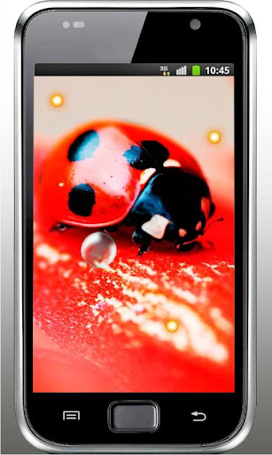 Ladybirds Free live wallpaper