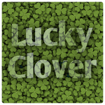 Find Lucky Clover Apk