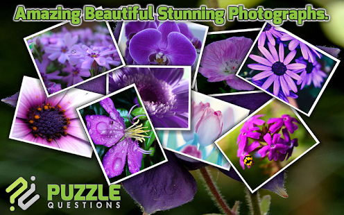 Free Purple Flower Puzzle Game Screenshots 9
