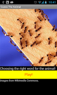 動物猜猜猜(圖1)-速報App