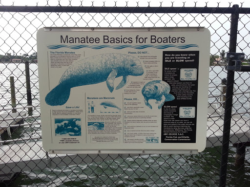 Manatee Basics For Boaters 