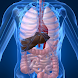 Human Anatomy (Spotting)