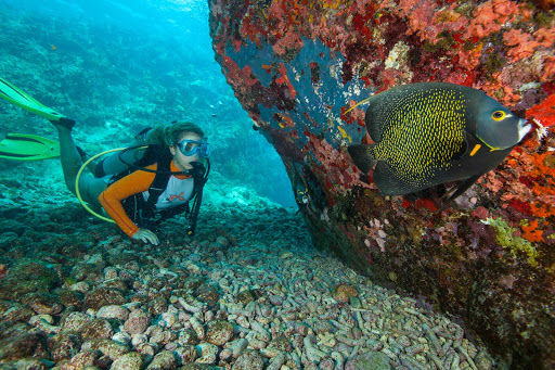 A young scuba diver spies a tropical fish at Cow Rocks on the southeast coast of St. Thomas in the US Virgin Islands. The site, about a 45-minute boat ride from Charlotte Amalie, offers the island's best diving.