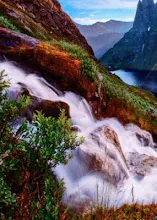Waterfall Live Wallpaper Apps On Google Play