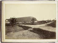 Fermenteerschuur, Langkat Sumatra