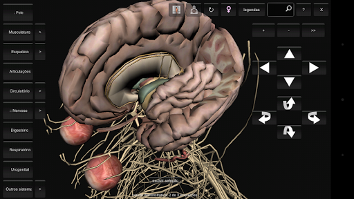 【免費教育App】Introdução à Anatomia Humana-APP點子