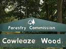Cowleaze Wood