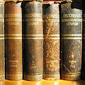 Brockhaus and Efron Dictionary logo