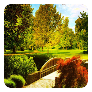 Zen Garden Live Wallpaper.apk 6.0