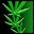 Home Grown Lite Live Wallpaper Download on Windows
