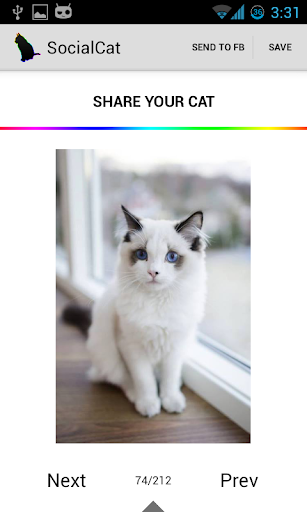 免費下載娛樂APP|SocialCat Cats Photo app開箱文|APP開箱王