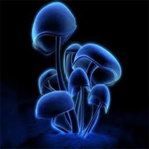 Blue 3d Wallpapers.apk 4.1
