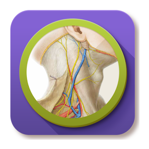 e-Anatomy 1.5.3