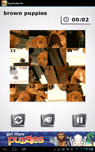 【免費解謎App】Dog Puzzles Pro-APP點子