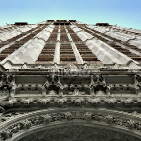 The Woolworth Building, NYC by Rita Uriel - Buildings & Architecture Public & Historical