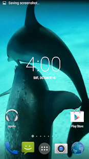 download Dolphins HD. Video Wallpaper free