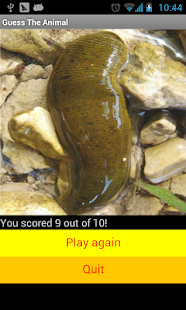 動物猜猜猜(圖5)-速報App