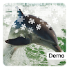 Dolphin Jigsaw Puzzles Demo