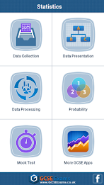 GCSE Maths : Stats Revision poster 1