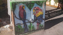 Parrot Electrical Box Art