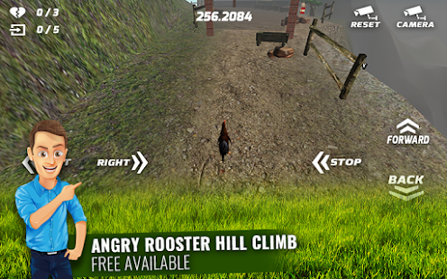 Download Angry Rooster Simulation APK for PC