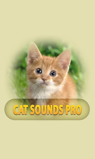 Cats Sounds Pro