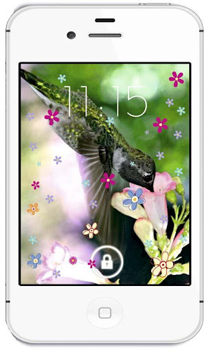 Colibri Exotic live wallpaper