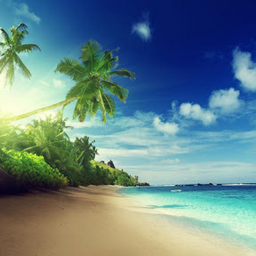 Jongeres 夏 デスクトップ 壁紙 高画質
