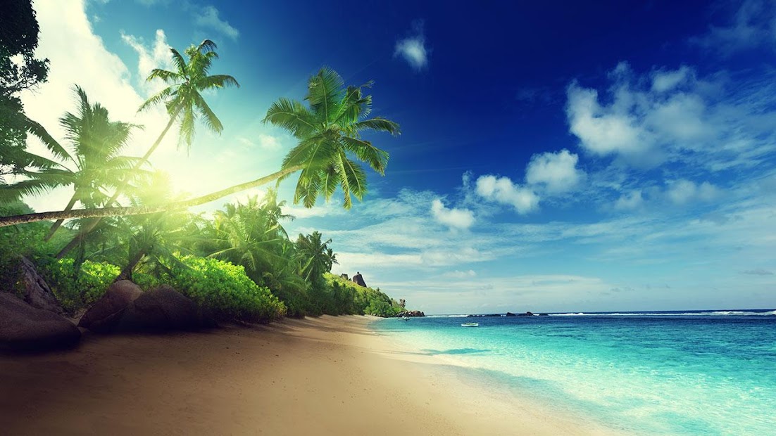 Pantai Latar Belakang - Apl di Google Play