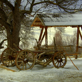 Rurala by Kati Raileanu - Nature Up Close Other Natural Objects