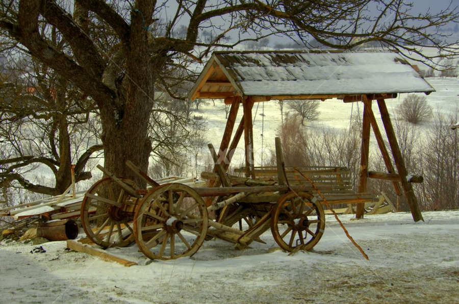 Rurala by Kati Raileanu - Nature Up Close Other Natural Objects