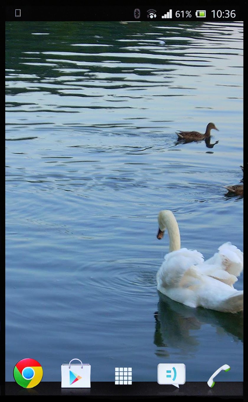 Swan Lake-Live Wallpaper! Screen 3