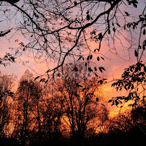 Fire in the sky by Dianne Collins - Landscapes Sunsets & Sunrises