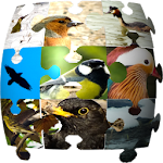 Cover Image of ダウンロード Ornithopedia Europe 1.1.1 APK