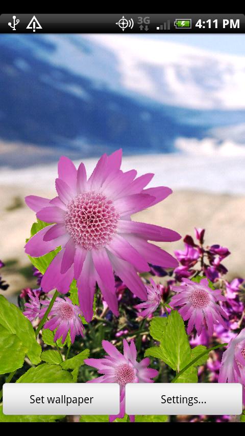 Flowers Live Wallpaper Screen 1