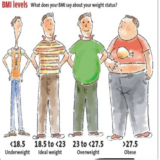 BMI Calories