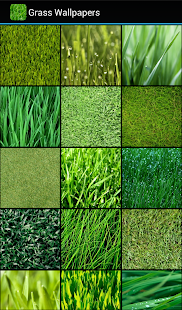 Grass Wallpapers(圖2)-速報App