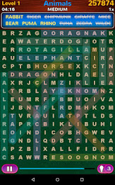 Word Search poster 12