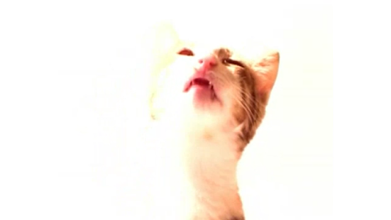 Free Screen Cleaner Prank 2 APK for Android