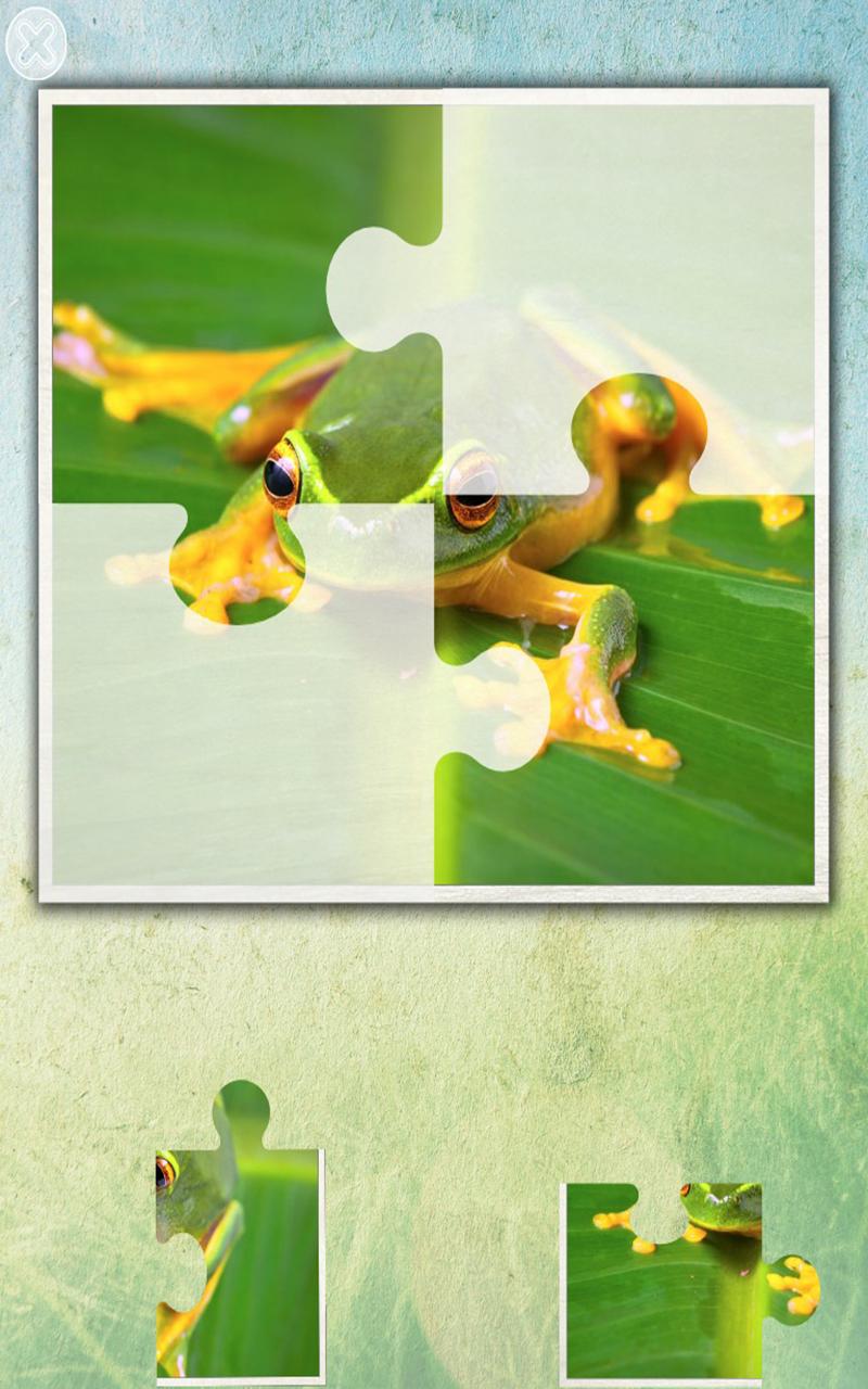 Jungle Puzzle - fun for kids Screen 3