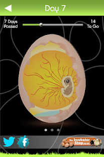 Hatch dating android