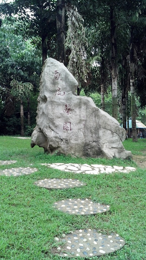 Stone in park