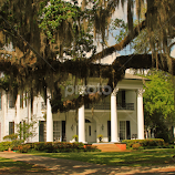 Louisiana Antibellum Home by Ron Olivier -  